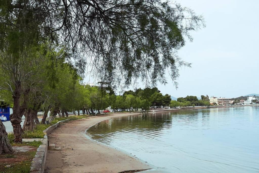 Πολυτελές Διαμέρισμα 3 Χαλκίδα-Παραλία Αυλίδος Paralia Avlidhos Exteriör bild